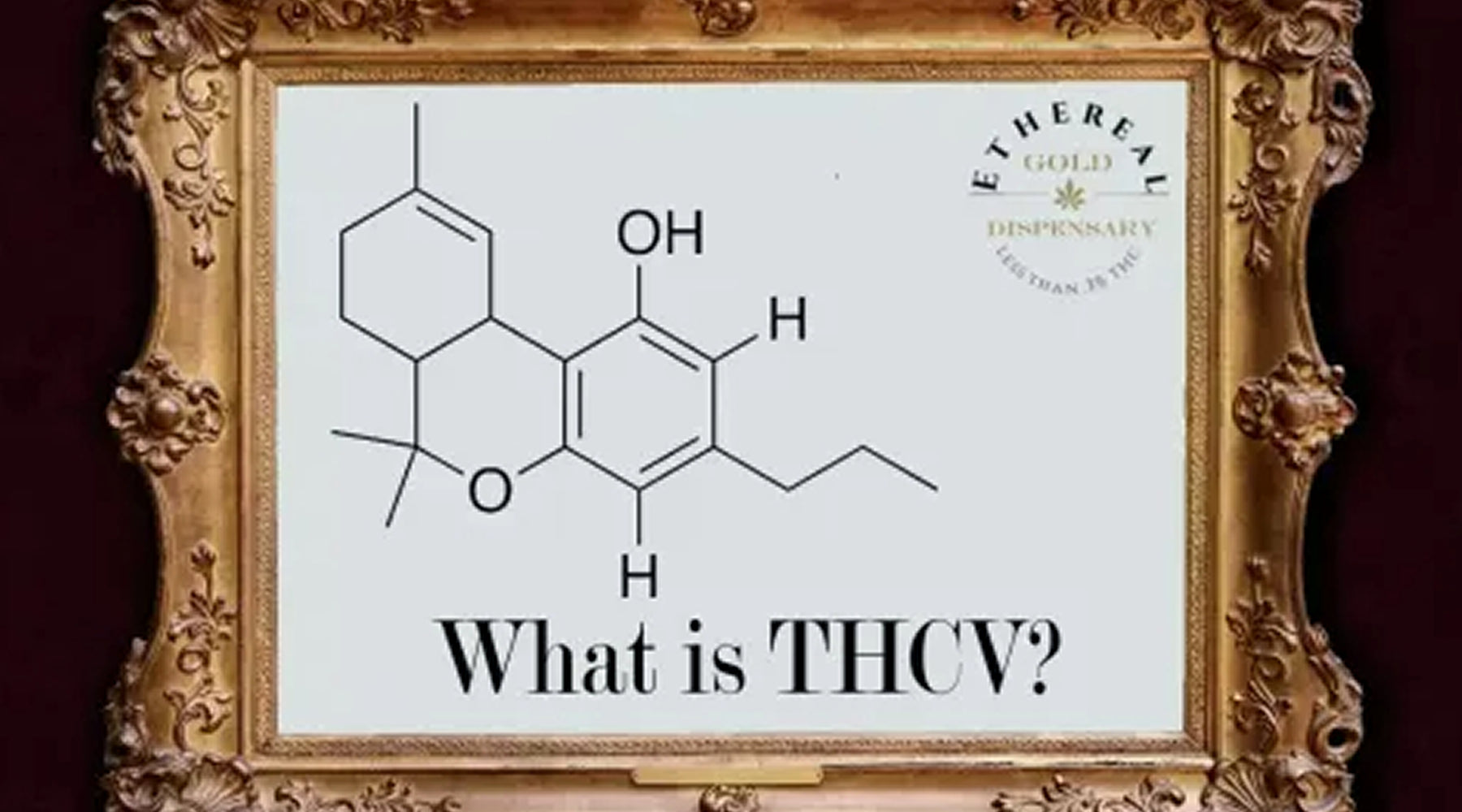 What is THCV?