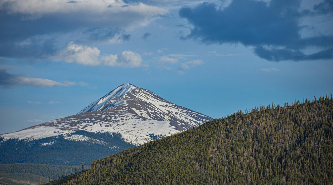 The Colorado Confusion: Are Mushroom Gummies Legal in 2026?