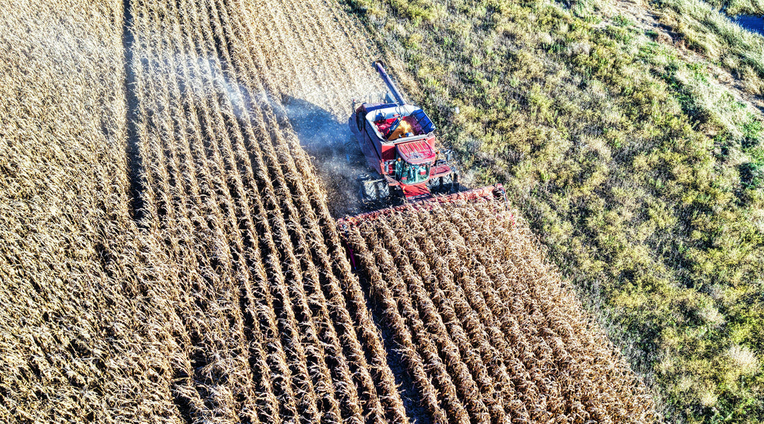 The 2026 Farm Bill: What the "Total THC" Standard Means for You