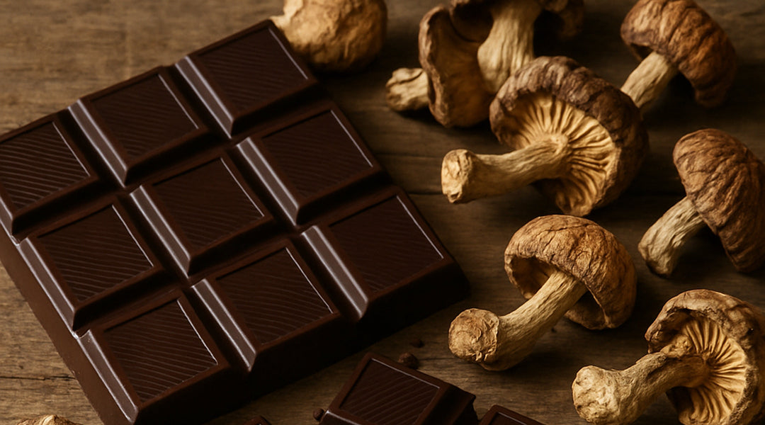 Find Shroom Chocolate: Edible Mushroom Delights Near Me