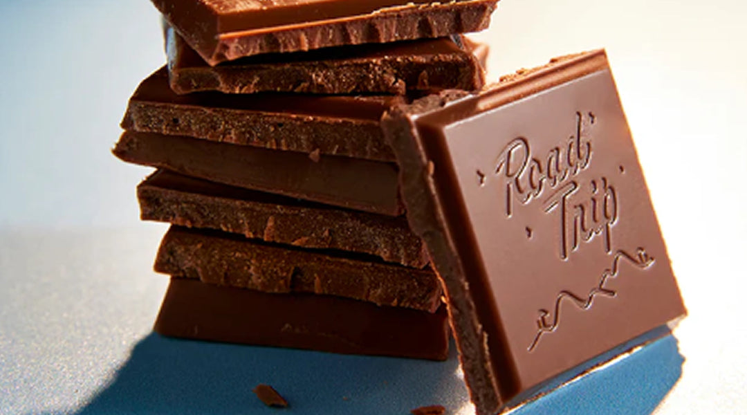 The Gourmet Journey: Our Road Trip Mushroom Chocolate Review