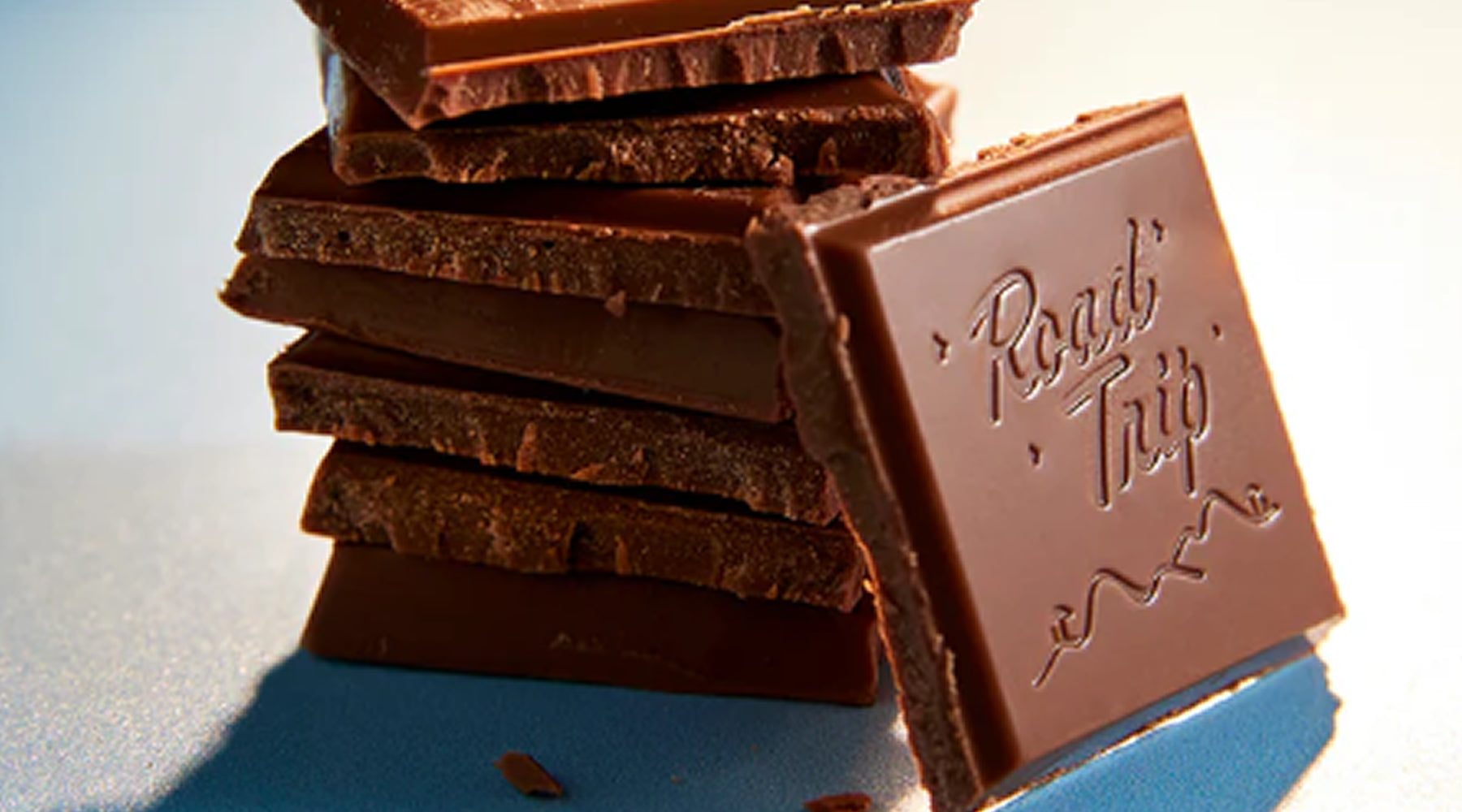 The Gourmet Journey: Our Road Trip Mushroom Chocolate Review