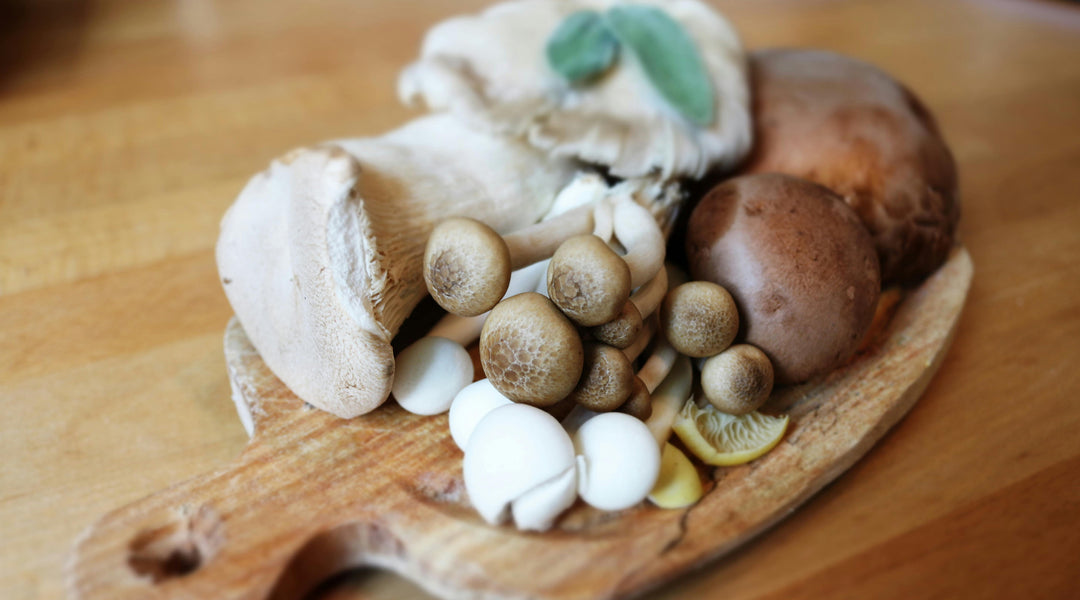 The Types of Edible Mushrooms