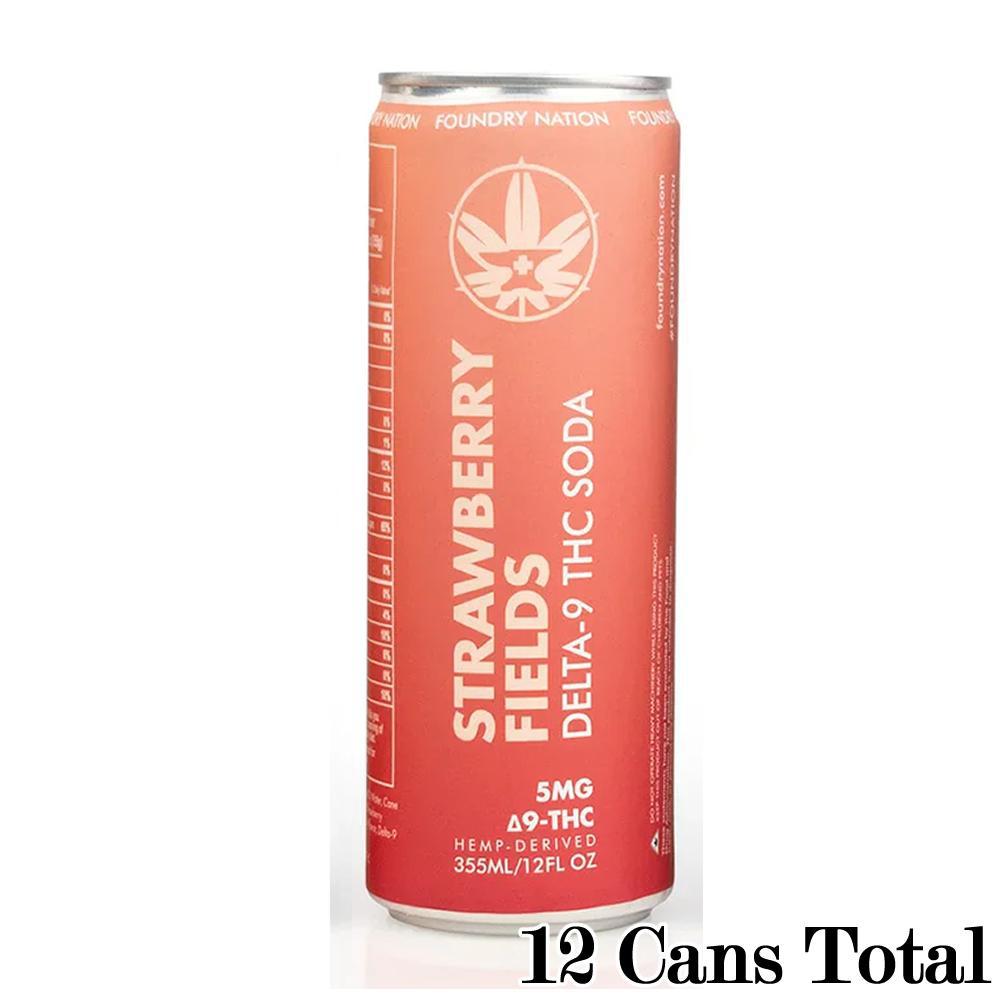 Foundry Nation Delta-9 Soda